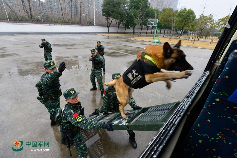 赵云传：纵横天下，攻略新解——一场不按套路出牌的三国之旅