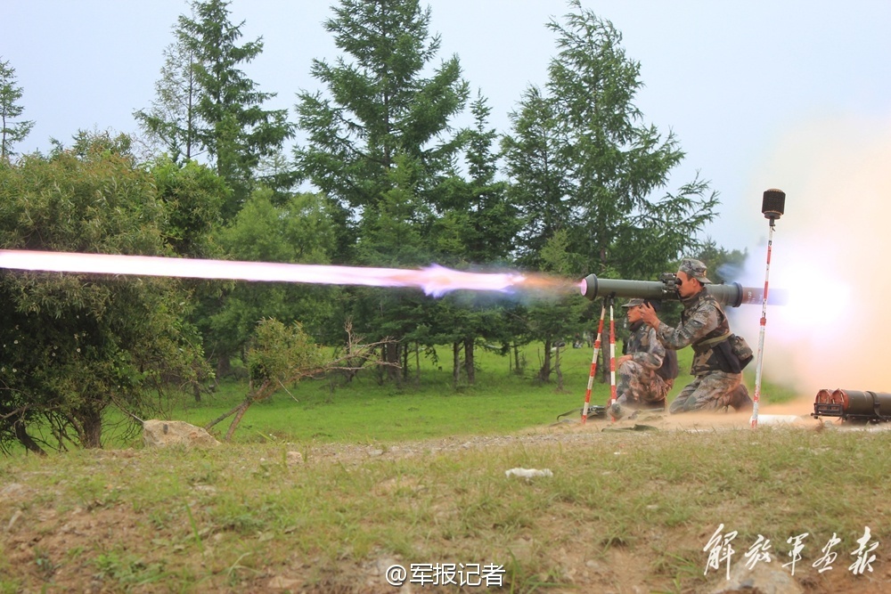 虎皮兰，你家里的“沙漠绿洲”