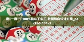 澳門一肖一碼100%精准王中王,数据导向设计方案_pack65.1313